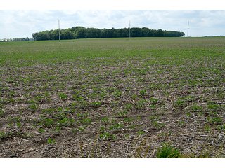 Property photo 80 - LAND AUCTION - 700+/- ACRES OFFERED IN 16 TRACTS IN ALLEN COUNTY, INDIANA